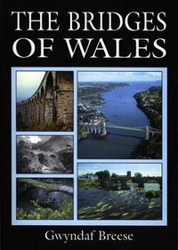 Abbildung von: Bridges of Wales, The - Llygad Gwalch Cyf