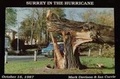 Cover: Surrey in the Hurricane: Great Storm of October 16th 1987 1987 - Mark Davison