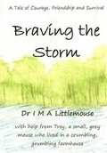 Cover: Braving the Storm - Qais Ltd