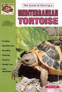 Abbildung von: Mediterranean Tortoises - TFH Publications