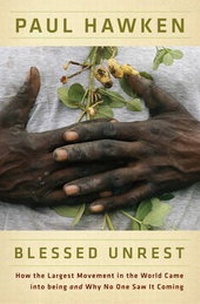 Enlarge image Cover: Blessed Unrest - Viking Studio