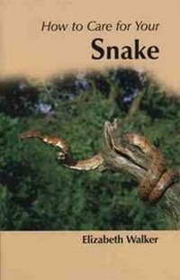 Abbildung von: How to Care for Your Snake - Kingdom Books,Havant