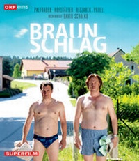 Enlarge image Cover: Braunschlag - Hoanzl