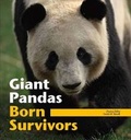 Cover: Giant Pandas - Penguin China