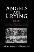 Cover: Angels Are Crying - Afreen International Inc