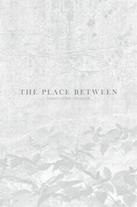 Enlarge image Cover: The Place Between - Platin Press