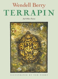 Enlarge image Cover: Terrapin - Counterpoint