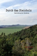 Cover: Durch das Steinholz - epubli