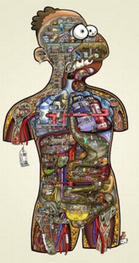 Enlarge image Cover: Cartoonposter "Human Project" - lebensgroß - MEDI-LEARN