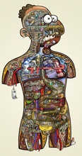 Cover: Cartoonposter "Human Project" - klein - MEDI-LEARN