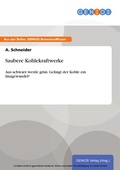 Cover: Saubere Kohlekraftwerke - GBI-Genios Verlag