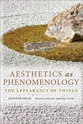 Cover: Aesthetics As Phenomenology - Indiana University Press