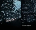 Cover: Alex Katz - Yale University Press