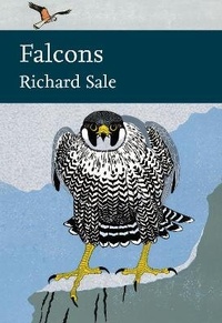 Enlarge image Cover: Falcons - William Collins