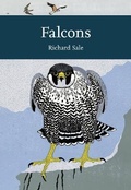 Cover: Falcons - William Collins