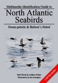 Cover: Storm-Petrels and Bulwer's Petrel - Pelagic Birds and Birding Multimedia Identification Guides