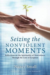 Enlarge image Cover: Seizing the Nonviolent Moments - Wipf and Stock Publishers