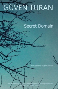 Enlarge image Cover: Secret Domain - Red Hand Books