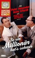 Cover: So ein Million&auml;r hat's schwer - Hoanzl