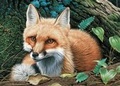 Cover: Cozy Retreat 300-Piece Puzzle - Willow Creek Press