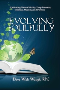 Abbildung von: Evolving Soulfully - David Waugh