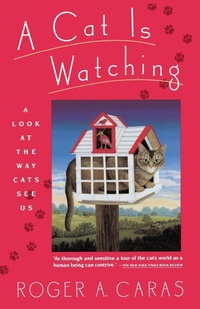 Enlarge image Cover: A Cat is Watching - Fireside Books