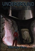 Cover: Underground Wales - Gomer Press