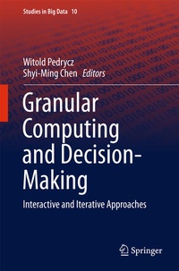 Enlarge image Cover: Granular Computing and Decision-Making - Springer