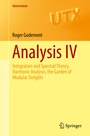 Cover: Analysis IV - Springer