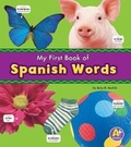 Cover: Spanish Words - Raintree