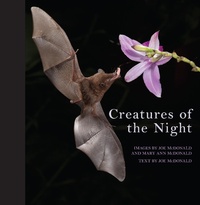 Enlarge image Cover: Creatures of the Night - Reed New Holland