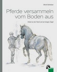 Abbildung von: Pferde versammeln vom Boden aus - FN Verlag