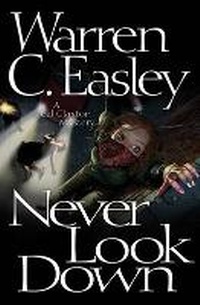 Enlarge image Cover: Never Look Down - Poisoned Pen Press