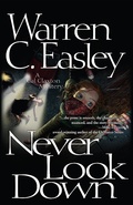 Cover: Never Look Down - Poisoned Pen Press