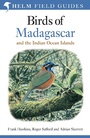 Bild: Field Guide to the Birds of Madagascar and the Indian Ocean Islands - Helm