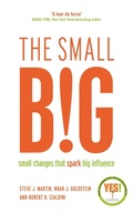 Cover: The small BIG - Profile Books Ltd