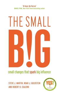 Enlarge image Cover: The small BIG - Profile Books Ltd