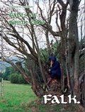 Cover: tales of roinn t&igrave;de, Band 4 - Brighton Verlag GmbH