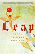Cover: Leap - Vintage