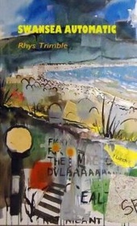 Enlarge image Cover: Swansea Automatic - Aquifer Books