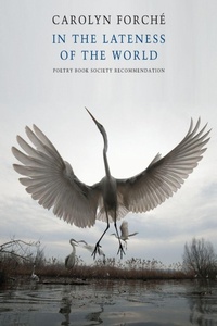 Enlarge image Cover: In the Lateness of the World - Bloodaxe Books Ltd