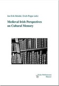Cover: Medieval Irish Perspectives on Cultural Memory - Nodus