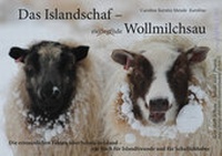 Abbildung von: Das Islandschaf: Wollmilchsau - Verlag Alpha Umi