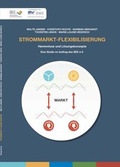 Cover: Strommarkt - Flexibilisierung - Ponte Press