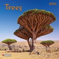 Enlarge image Cover: Trees 2016 - Tushita PaperArt GmbH
