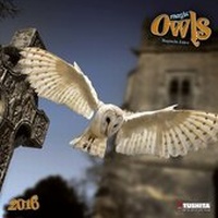 Enlarge image Cover: Magic Owls 2016 - Tushita PaperArt GmbH