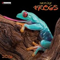 Abbildung von: Amazing Frogs 2016 - Tushita PaperArt