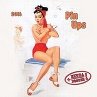 Enlarge image Cover: Pin Ups 2016 - Tushita PaperArt GmbH