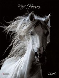 Abbildung von: Magic Horses 2016 - Tushita PaperArt