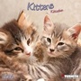 Cover: K&auml;tzchen 2016 - Tushita PaperArt GmbH